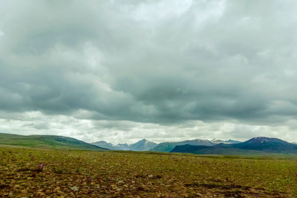 Download Beautiful Panoramic View of a Field - Panoramic Collection